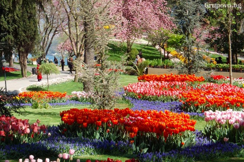 Екскурзия за фестивала на лалето до Истанбул, Турция! Автобусен транспорт + 2 нощувки на човек със закуски и посещение на Одрин от ТА Поход