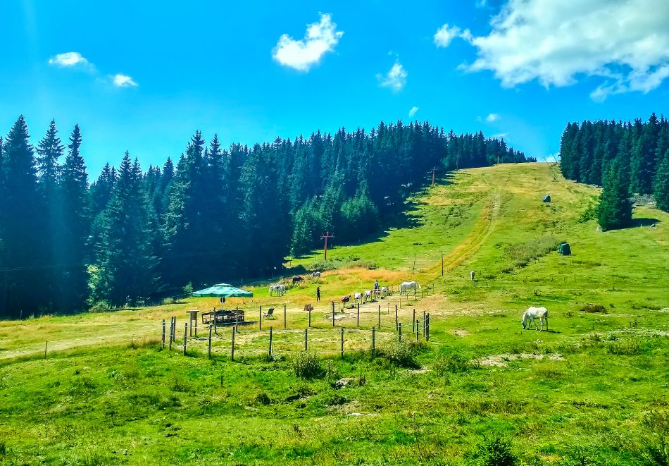 Екскурзия до Пампорово, Широка Лъка, с.Гела и Бачковски манастир! Автобусен транспорт от София + 1 нощувкa за ДВАМА със закуска в Пампорово, снимка 2