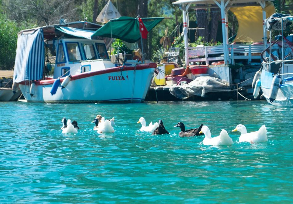 Екскурзия до Анталия и Кападокия, Турция! Чартърен полет от София + 7 нощувки на човек със закуски и вечери в хотел  4* + 3 екскурзии!, снимка 6
