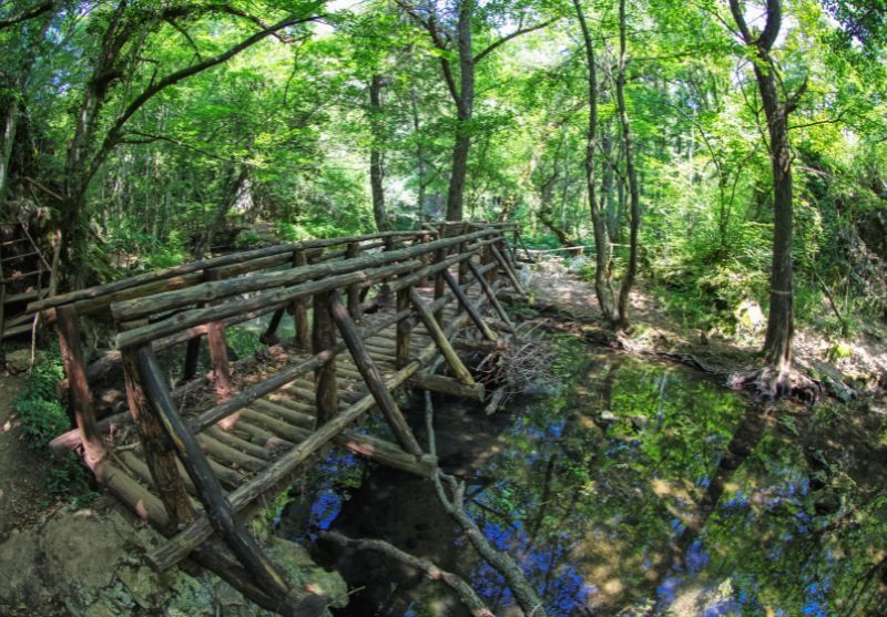 Екскурзия до Ямбол, Приморско, Малко Търново, Бегликташ и Созопол! Автобусен транспорт от Плевен или София + 2 нощувки със закуски на човек и посещение на античния град Кабиле, с. Бръшлян и замъка 