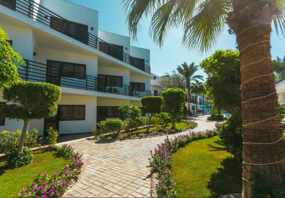 На първа линия с чартърен полет от София. 6 All Inclusive нощувки на човек в LA ROSA WAVES RESORT 4* + 1 нощувка, закуска, вечеря и посещение на пирамидите в Кайро, снимка 11