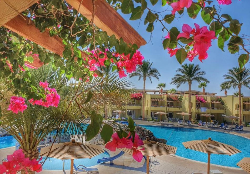 На първа линия в Хургада, Египет: Самолетен билет от София + 7 нощувки на човек на база All Inclusive в Palm Beach Resort 4*, снимка 4