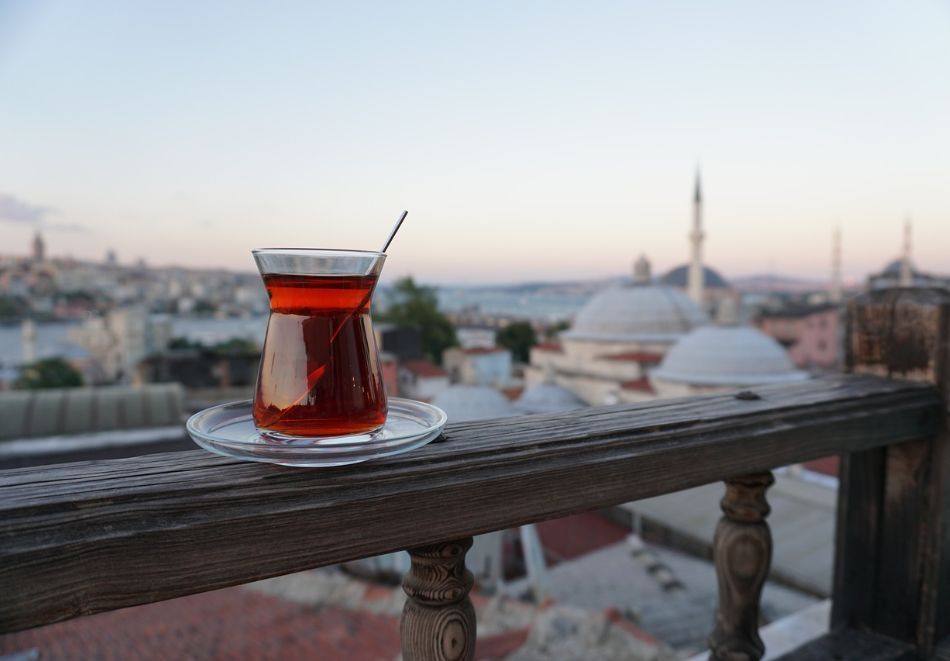 Екскурзия за Фестивала на лалето в Истанбул, Турция: Автобусен транспорт + 2 нощувки на човек със закуски, снимка 4