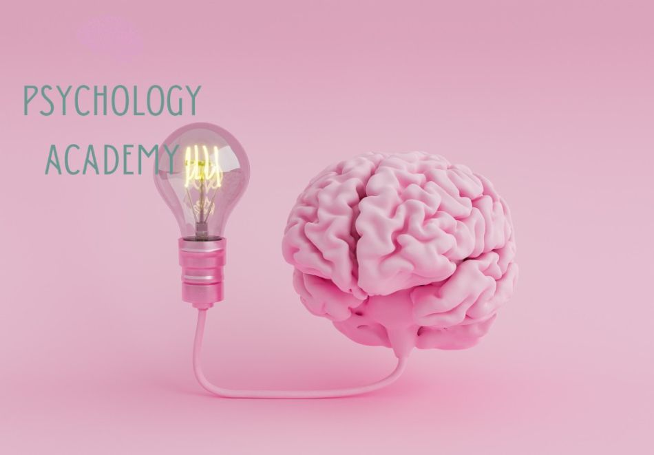 3 онлайн курса по 