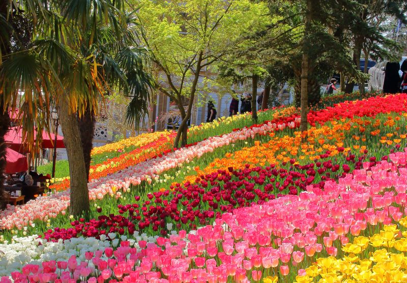 Фестивал на лалето в Истанбул, Турция: Автобусен транспорт + 2 или 3 нощувки на човек със закуски + бонус посещение на парк Емиргян, снимка 5