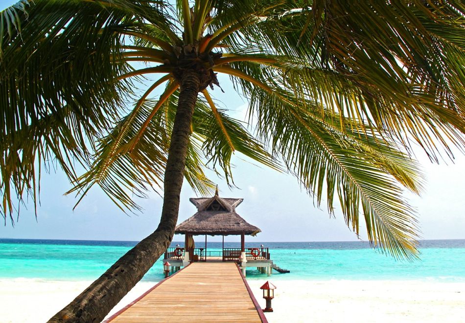 Почивка на Малдивите: Полет от София + 7 нощувки на човек със закуски и вечери в Triton Beach hotel 4*+ екскурзия с шнорхелинг и нощен риболов, снимка 11