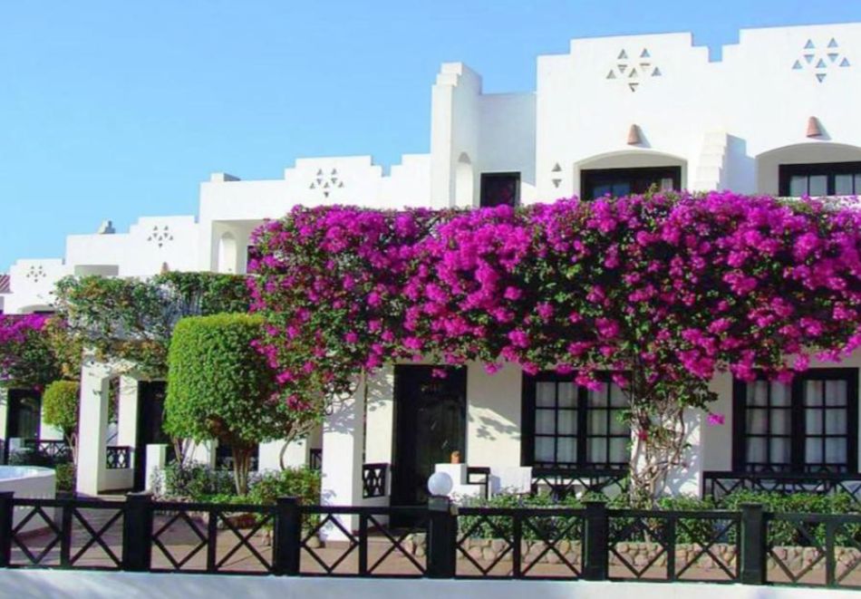 Почивка в Шарм ел Шейх, Египет: Полет от София + 7 нощувки на човек на база All inclusive в VERGINIA SHARM RESORT & AQUA PARK 4*, снимка 6