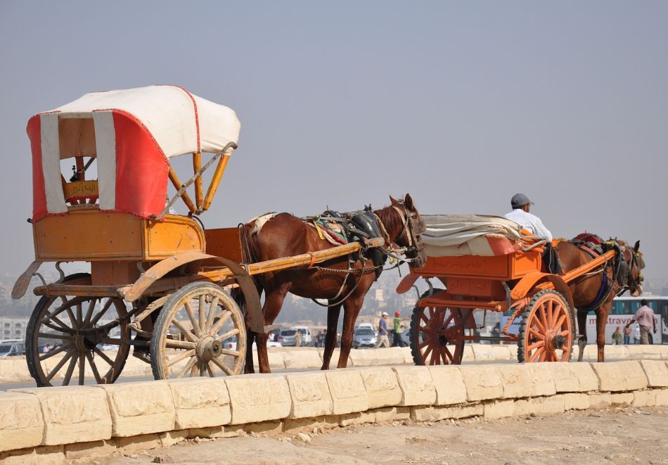 Круиз по р. Нил от Кайро, Египет: Полет от София + 3 нощувки на човек на круизен кораб + 2 нощувки в Хургада + 2 нощувки в Кайро + посещение на Пирамидите, Сфинкса и Националния Египетски музей, снимка 18