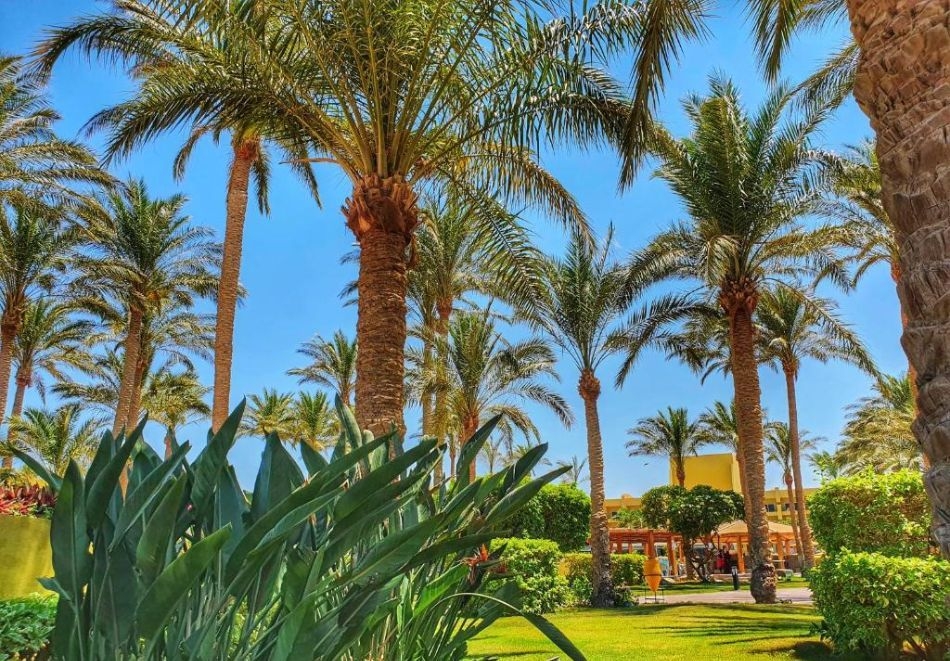 На първа линия в Хургада, Египет: Самолетен билет от София + 7 нощувки на човек на база All Inclusive в Palm Beach Resort 4*, снимка 11