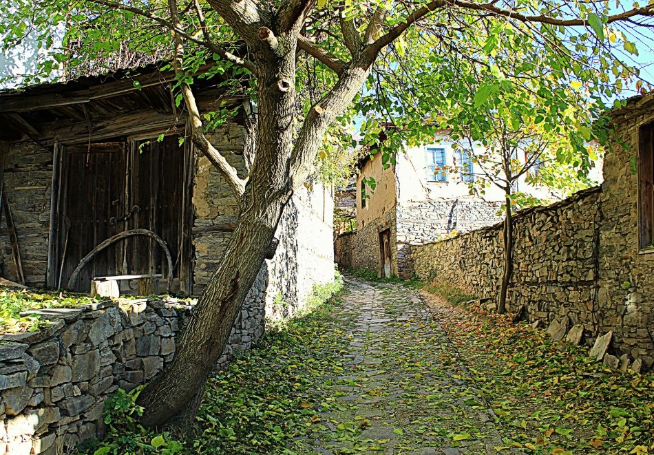 Екскурзия до Банско, Гоце Делчев, Лещен и Ковачица: Автобусен транспорт от София или Плевен + 1 нощувка със закуска на човек, снимка 4