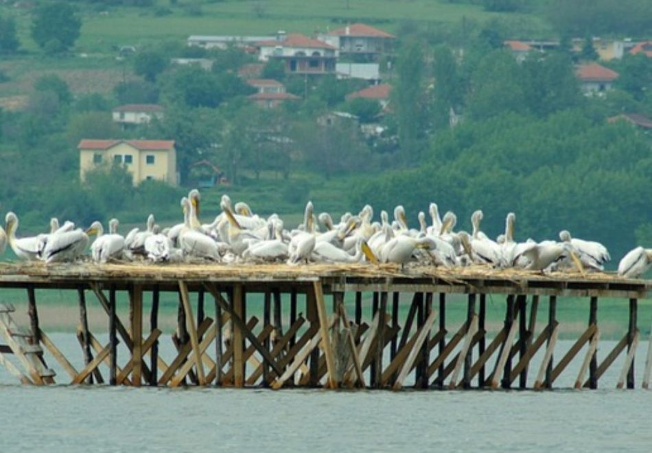 Еднодневна екскурзия до Серес, Гърция: Посещение на езерото Керкини за един човек, снимка 2