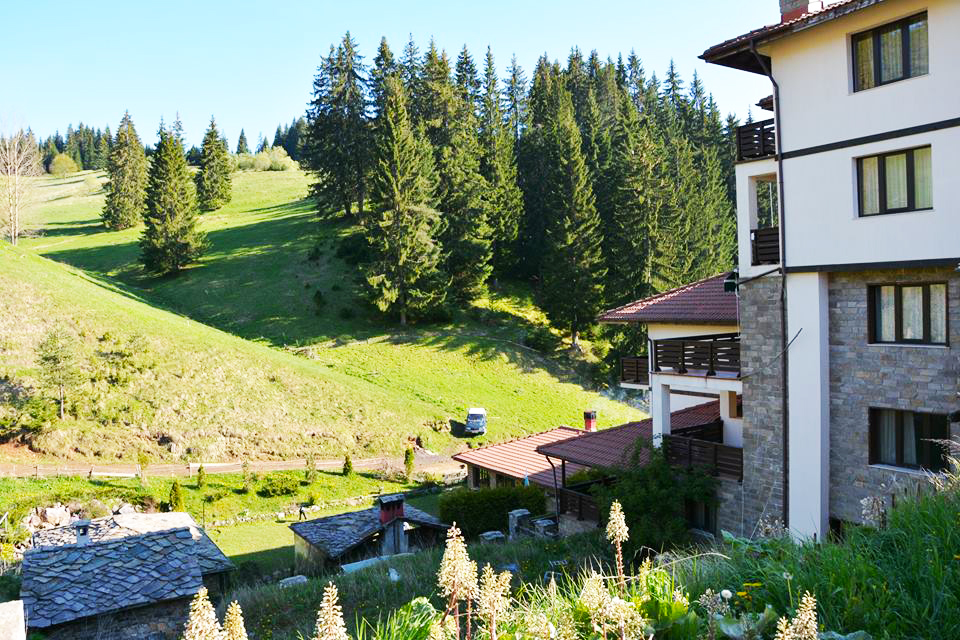 1 или 3 нощувки на човек със закуска + сауна в Апартаменти за гости Зелен Проглед до Пампорово, снимка 14