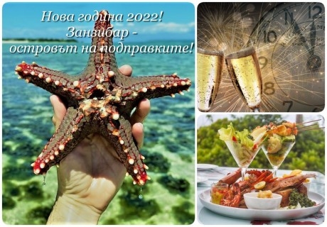 Нова година на остров Занзибар! Незабравима екзотична почивка! Директен чартърен полет от София на 27.12.21 + 7 нощувки на човек на база All Inclusive в хотели по избор!