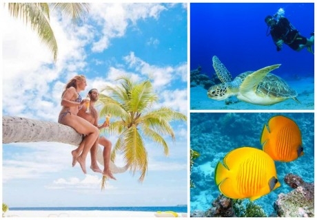 Почивка в ARENA BEACH HOTEL 4*, Маафуши, Малдиви. Самолетен билет от София + трансфер + 7 нощувки на човек със закуски и вечери + целодневна екскурзия шнорхелинг + нощен риболов!