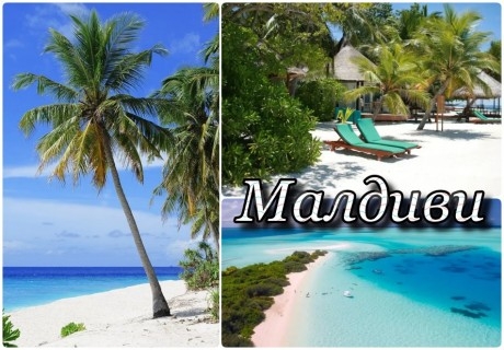 Почивка в ARENA BEACH HOTEL 4*, Маафуши, Малдиви. Самолетен билет от София + трансфер + 7 нощувки на човек със закуски!