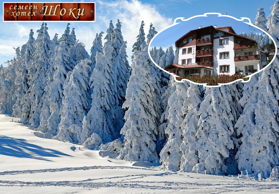 Нощувка на човек със закуска и вечеря + релакс зона в хотел Шоки, Чепеларе