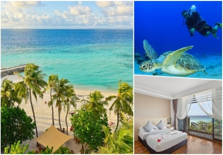 Почивка през 2023г. в ARENA BEACH HOTEL 4*, Маафуши, Малдиви. Самолетен билет от София + 7 нощувки на човек със закуски и вечери + целодневна екскурзия шнорхелинг + нощен риболов!