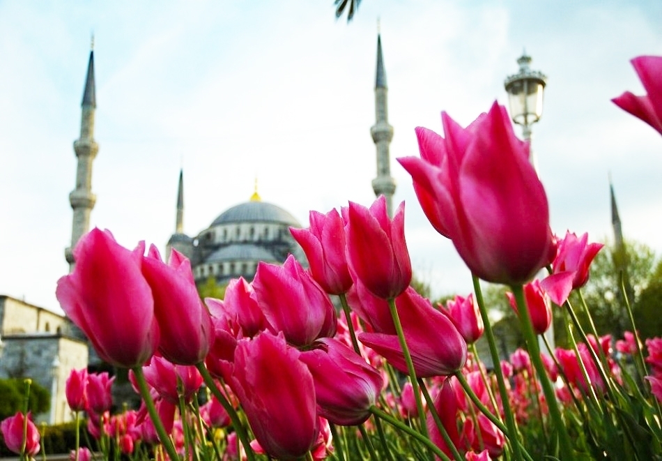 Фестивал на лалето в Истанбул! Транспорт + 2 или 3 нощувки на човек в хотел 3* със закуски + посещение на Одрин от ТА Юбим Холидейс. С тръгване от София, мотел Ихтиман, Пазарджик и Пловдив