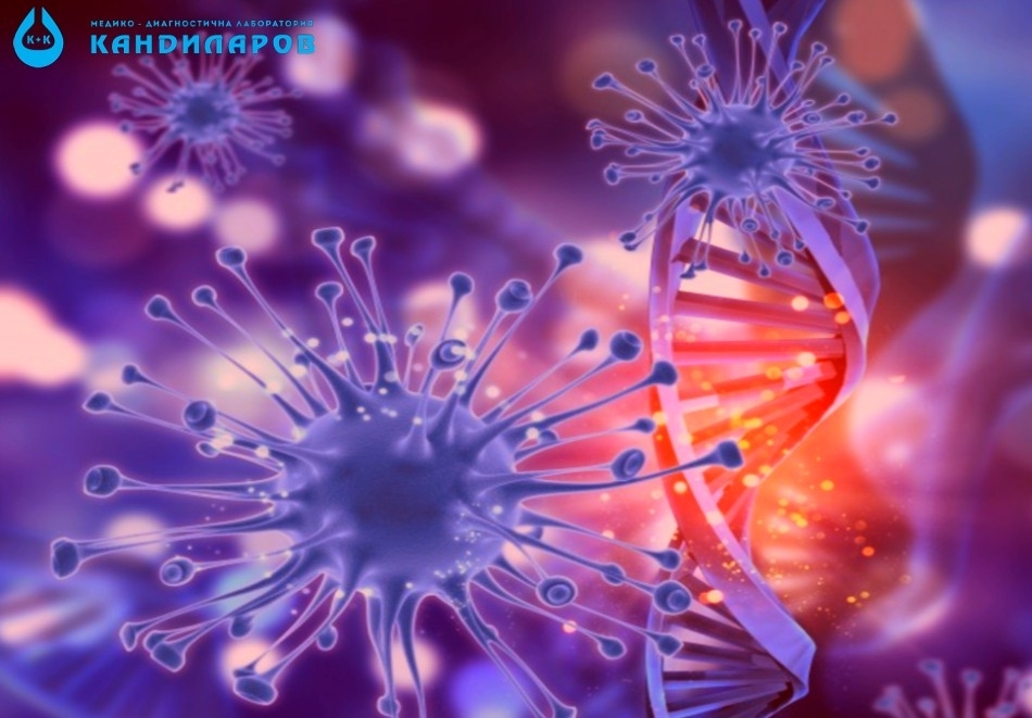 Изследване на Пълна кръвна картина с ДКК, СУЕ и CRP от Лаборатории Кандиларов