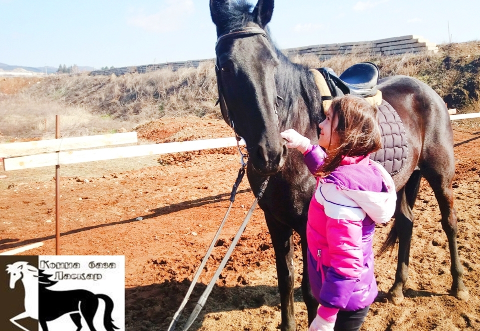 Конна езда и обучение в грижа за конете - 60 мин. забавление за малки и големи от конна база Ласкар, София