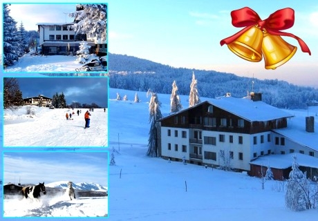 Коледа в хотел Еделвайс, м. Узана, до Габрово! 2 или 3 нощувки на човек със закуски и вечери, едната Празнична от хотел Еделвайс