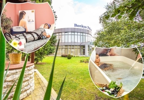 1, 2 или 3 нощувки на човек със закуски и вечери + релакс пакет в Банкя Палас****, гр. Банкя