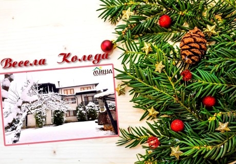 Коледа до Луковит! 3 нощувки на човек със закуски и вечери от Къща за гости Миша, с. Петревене
