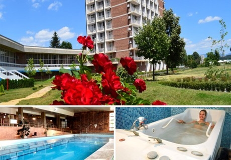 От януари в Балнеохотел Павел баня! Нощувка на човек със закуска и вечери или закуска, обяд и вечеря + медицински преглед, 2 процедури на ден + минерален басейн, парна баня и сауна