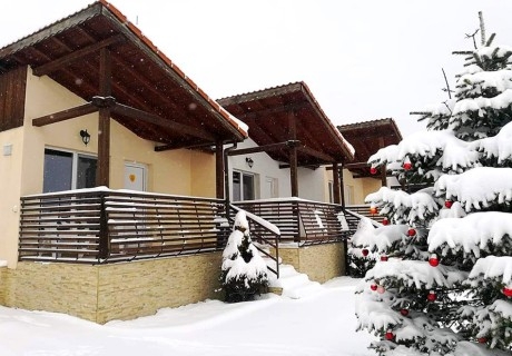 Почивка край язовир Батак! Нощувка на човек със закуска и вечеря от Вилно селище Свети Георги, Цигов Чарк