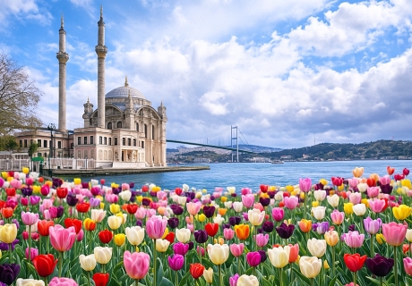 Фестивал на лалето в Истанбул: Транспорт от Бургас + 2 нощувки на човек със закуски в хотел 4* + посещение на Принцовите острови от Ню Сън Травел