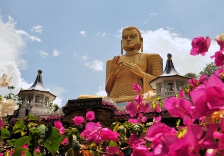 Екскурзия до Шри Ланка:  Полет от София + 10 нощувки на човек със закуски и вечери + посещение на Канди, Нувара Елия, Елла, Коломбо, Хиривадуна, Полунарува и други