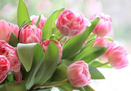 8-ми март в Охрид, Северна Македония: Транспорт + 2 нощувки на човек със закуски + 1 празнична вечеря с неограничени напитки и жива музика + посещение на Скопие