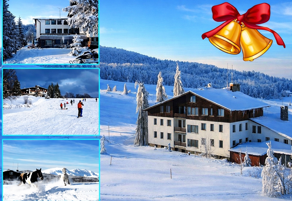 Коледа в хотел Еделвайс, м. Узана, до Габрово: 2 нощувки на човек със закуски и вечери, едната Празнична от хотел Еделвайс