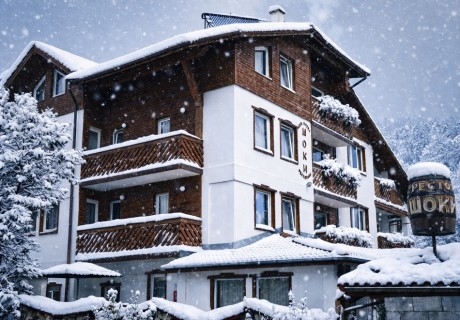 Почивка в Чепеларе: Нощувка на човек със закуска и вечеря от хотел Шоки