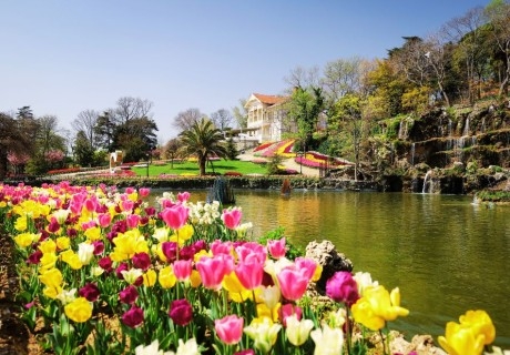 Фестивал на лалето в Истанбул, Турция: Автобусен транспорт + 2 или 3 нощувки на човек със закуски + бонус посещение на парк Емиргян