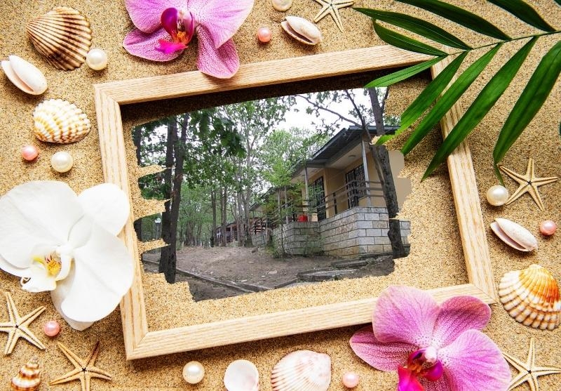 Ранни записвания за лято 2026г. в Шкорпиловци: Нощувка на човек със закуска и вечеря в бунгало + интернет и паркинг от Комплекс Дъбрава