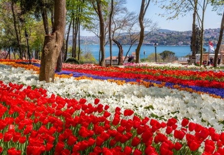 Фестивал на лалето в Истанбул, Турция: Автобусен транспорт + 3 нощувки на човек със закуски в Ilkbal Deluxe Hotel 4*. БОНУС:  панорамна обиколка на Истанбул и посещение на парк „Емиргян“