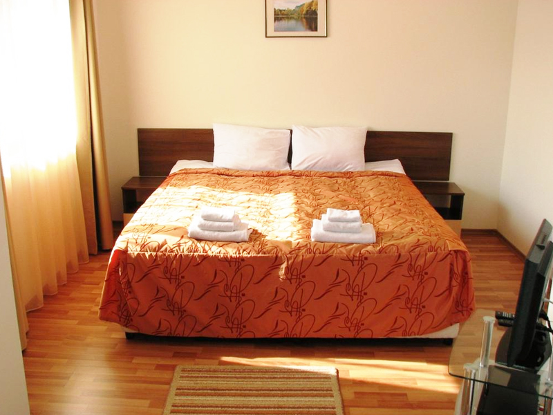 Аквилон Резидънс & СПА, с. Баня, снимка 6