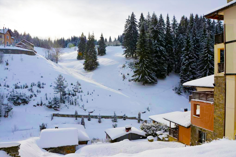 Апартаменти за гости Зелен Проглед, снимка 4