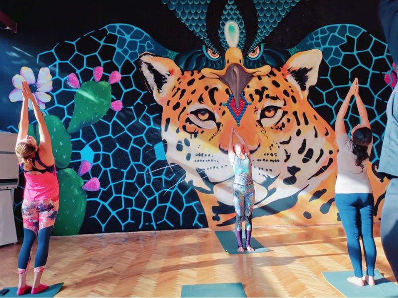 The Flow Spot, София