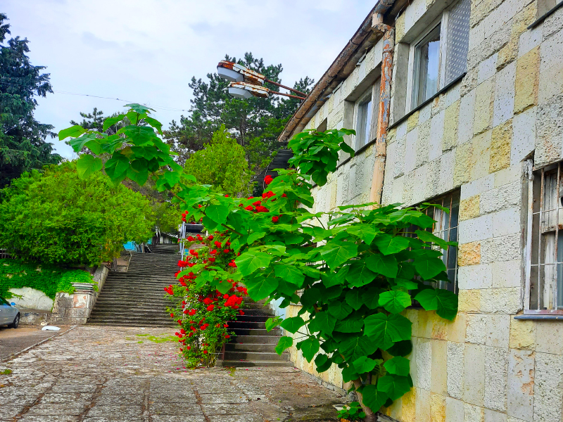Бунгала Видин, Кранево, снимка 2