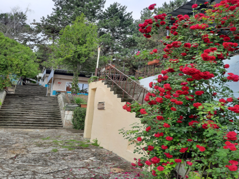 Бунгала Видин, Кранево, снимка 3