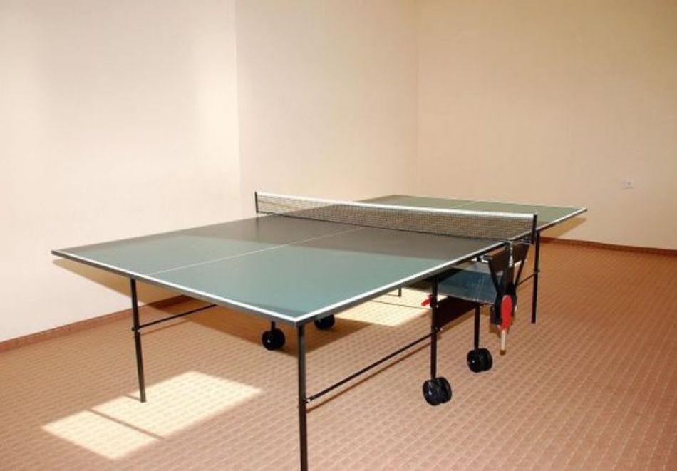 Нова година в Смолян! 2, 3 или 4 нощувки на човек със закуски и Празнична вечеря с програма и DJ в хотел Дикас, снимка 15