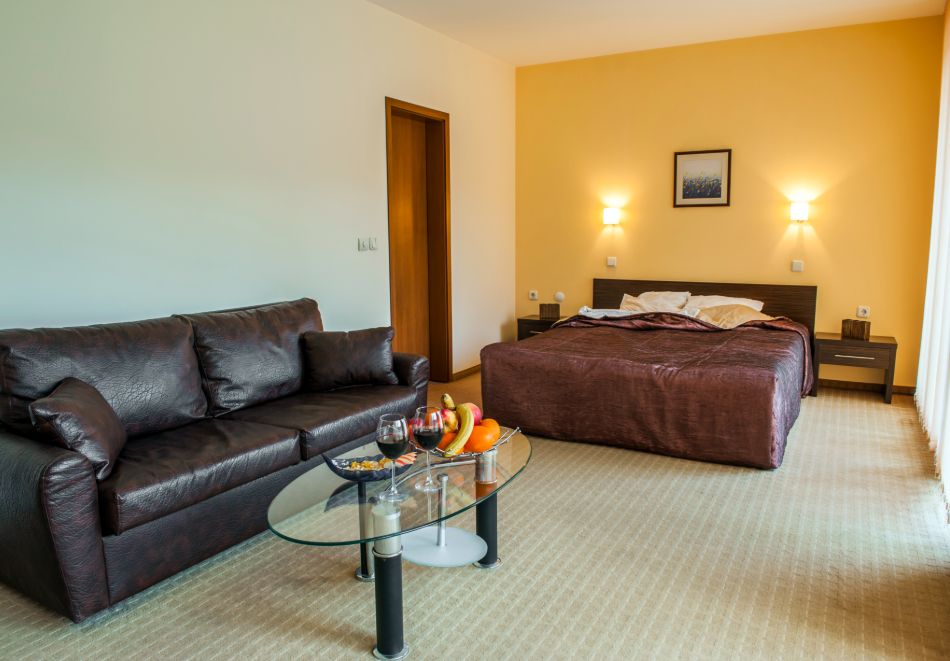 Нова година в Смолян! 2, 3 или 4 нощувки на човек със закуски и Празнична вечеря с програма и DJ в хотел Дикас, снимка 8