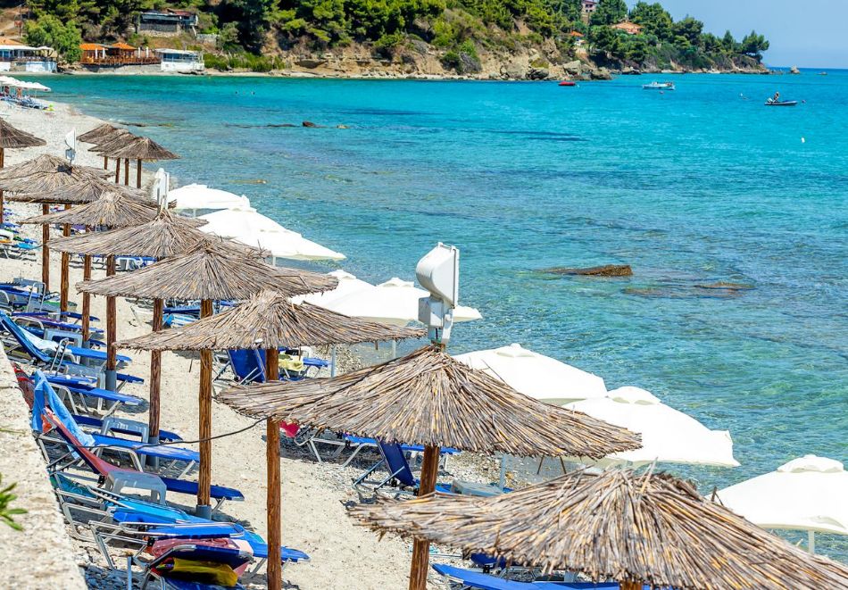 На първа линия в Xenios Dolphin Beach Hotel***, Касандра, Гърция! Нощувка за ДВАМА със закуска и вечеря + басейн, снимка 18