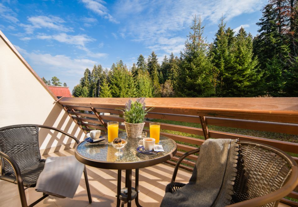 На ски в Боровец: Нощувка на човек със закуска в хотел Мура. Дете до 12г. - БЕЗПЛАТНО!, снимка 14