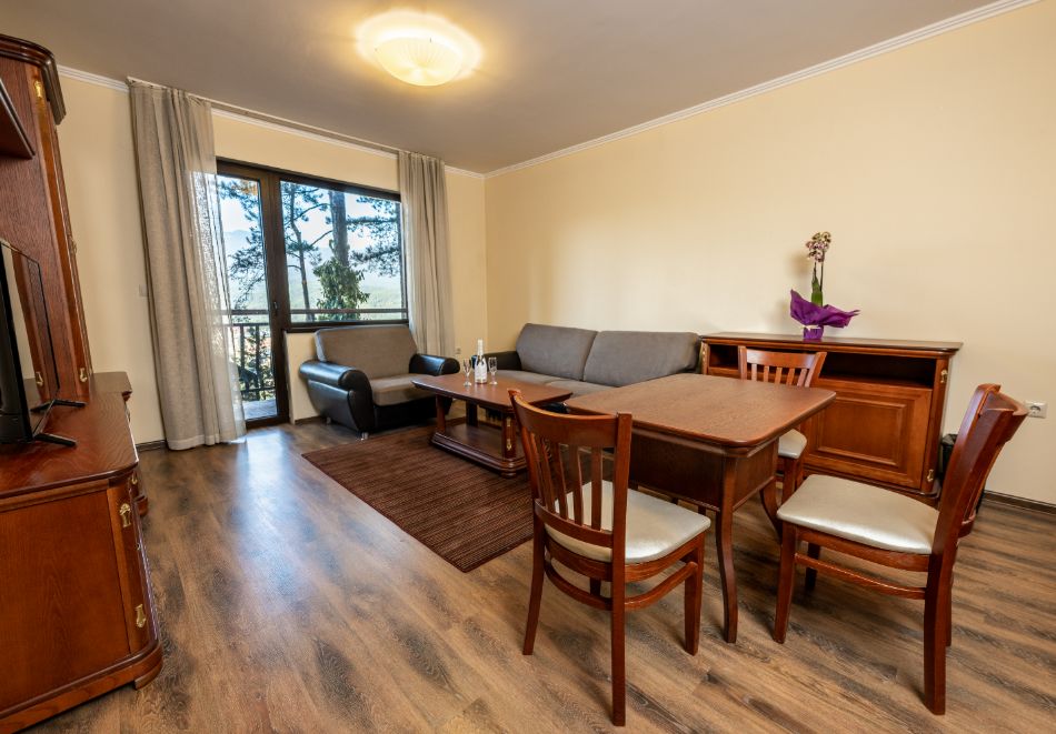 Петзвездна Нова Година във Велинград! 3 или 4 нощувки на човек със закуски и вечери, едната Празнична + богара програма + вътрешен и външен минерален басейн и СПА зона в Макси Парк Хотел и Спа*****! Две деца до 11.99г. БЕЗПЛАТНО!, снимка 13