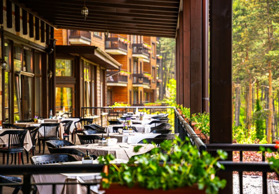 Петзвездна Нова Година във Велинград! 3 или 4 нощувки на човек със закуски и вечери, едната Празнична + богара програма + вътрешен и външен минерален басейн и СПА зона в Макси Парк Хотел и Спа*****! Две деца до 11.99г. БЕЗПЛАТНО!, снимка 4