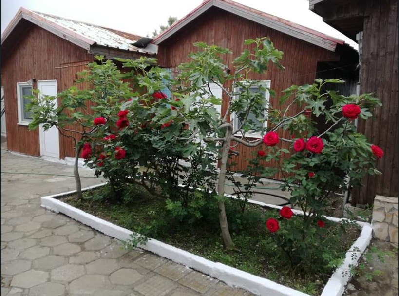 Почивка в Поморие близо до Поморийската кал и луга: 1 нощувка за четирима в самостоятелно бунгало от Почивна станция Козлодуй, снимка 2