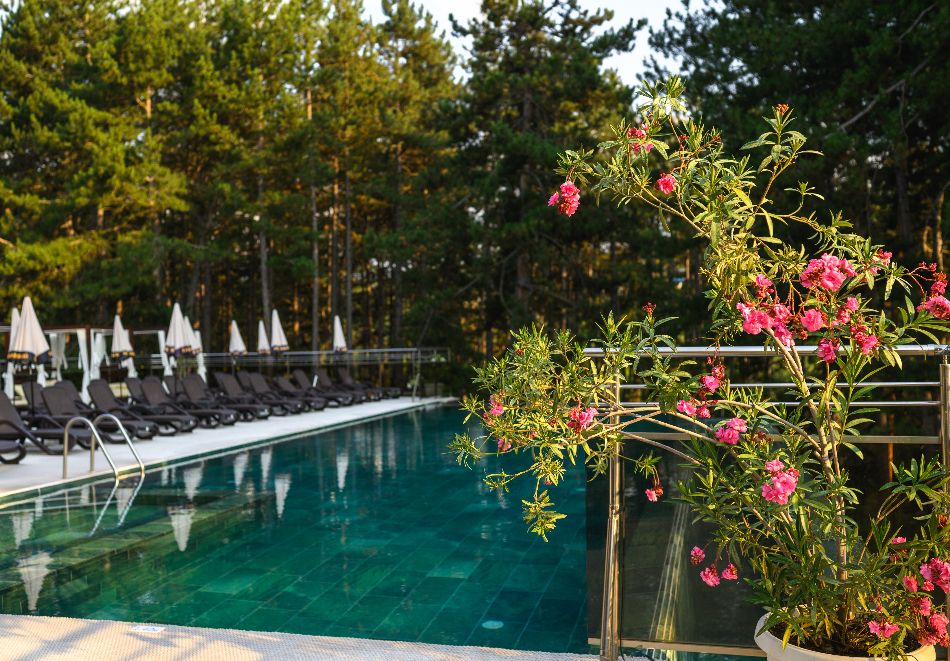 Почивка във Велинград! Нощувка на човек със закуска + термални басейни и СПА в Инфинити Парк Хотел и Спа*****, снимка 5